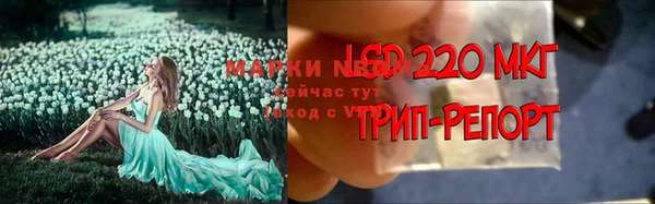 ешки Вязьма