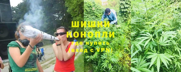 ешки Вязьма