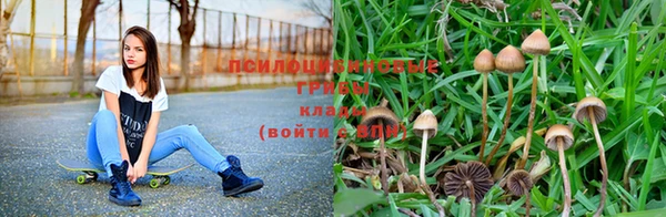 круглые Вяземский